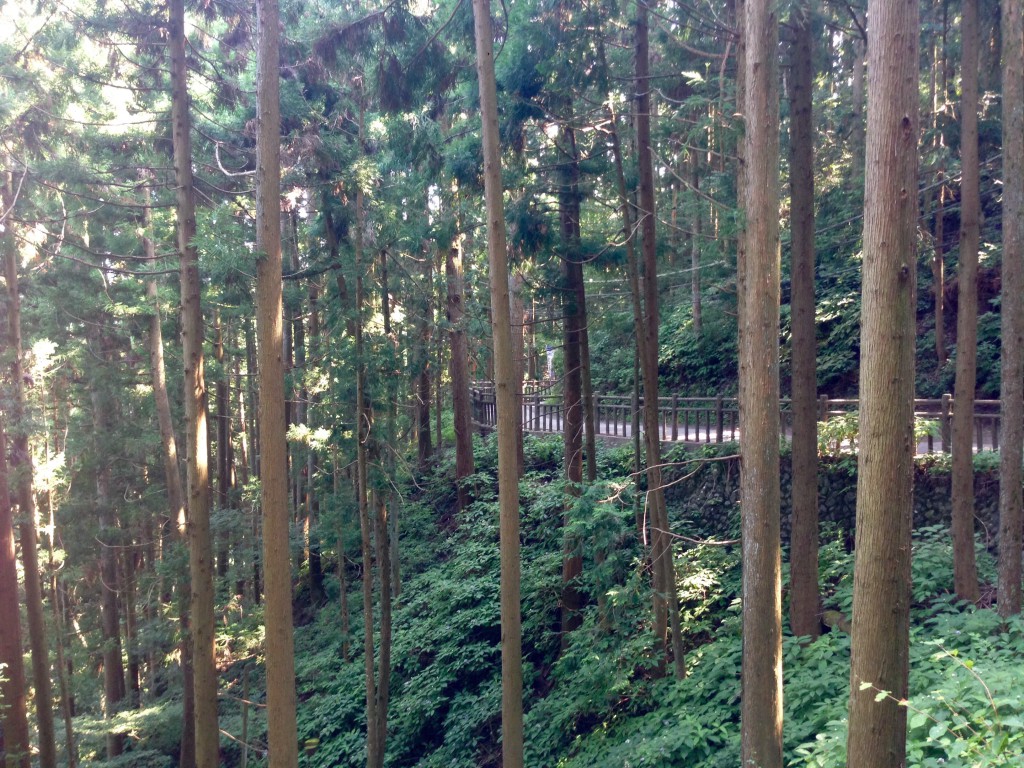 奥多摩 御岳山