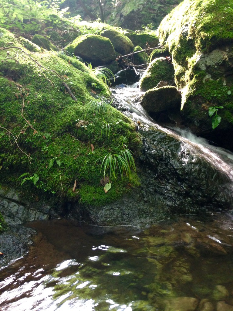 御岳山　ロックガーデン
