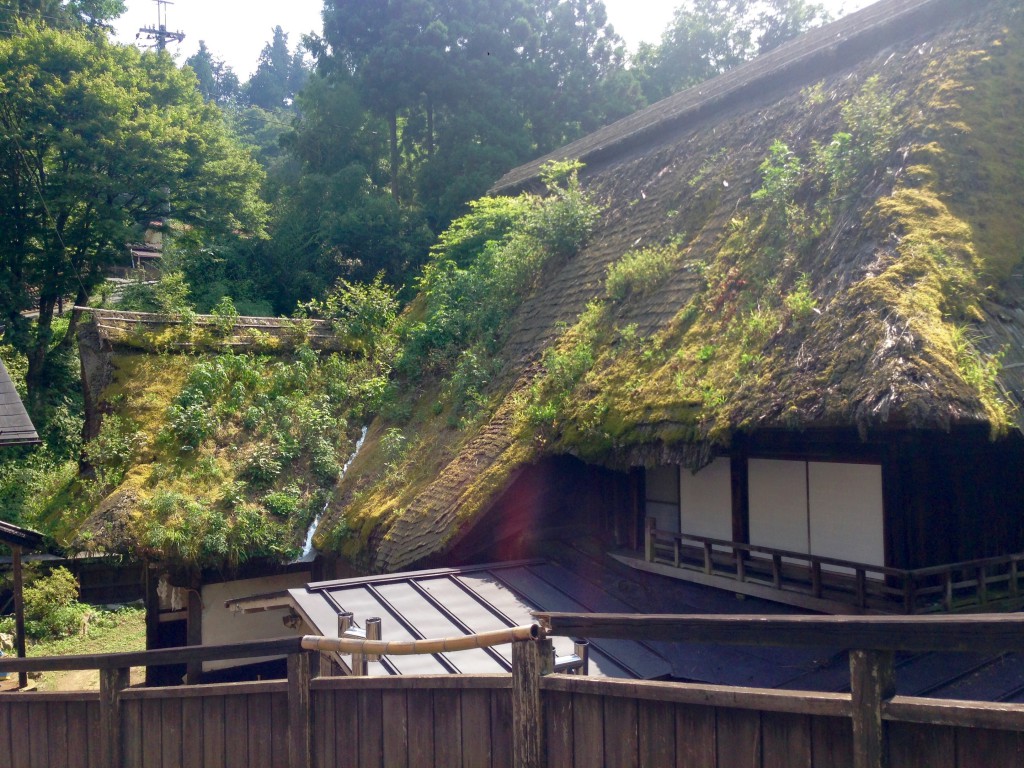 奥多摩　御岳山