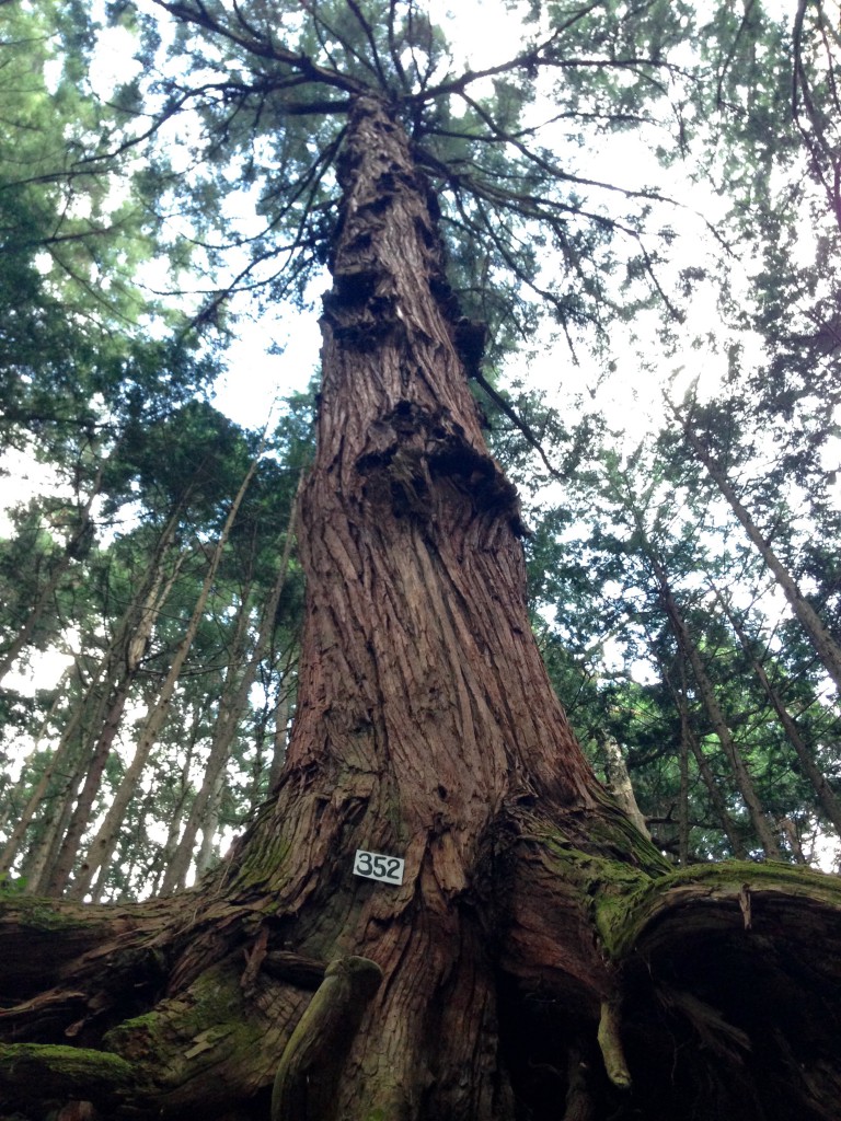 奥多摩 御岳山