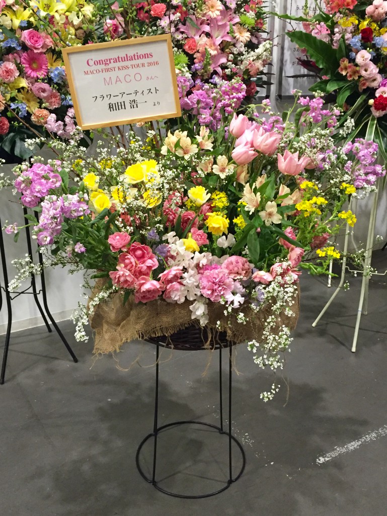 MACO 花 豊洲ピット