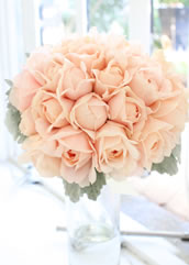 �N���b�`�u�[�P08
